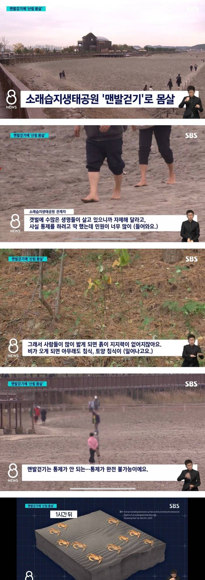 [이슈/유머]맨발걷기 열풍에 산림 몸살