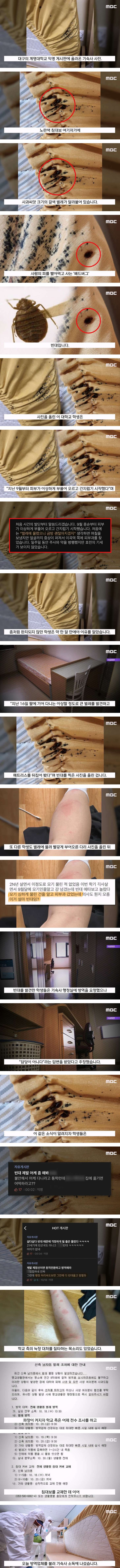 빈대 나와서 난리난 계명대 기숙사