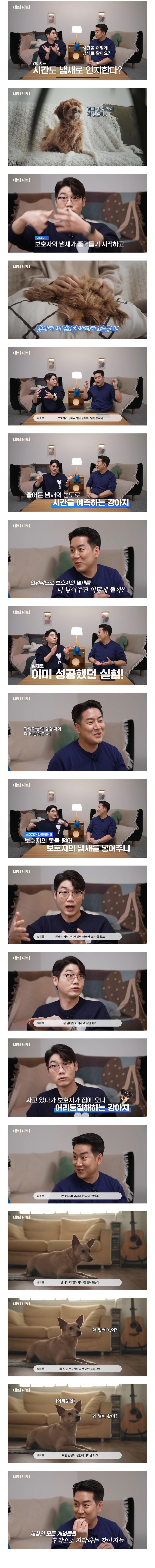 [이슈/유머]개가 주인의 퇴근시간을 아는 이유